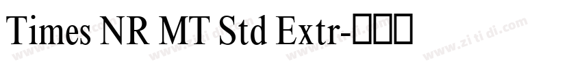 Times NR MT Std Extr字体转换